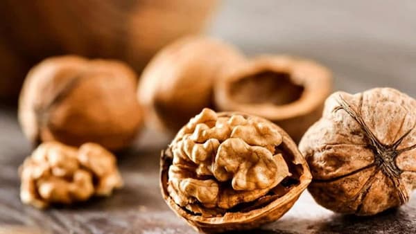 تصویر 1 از فروش گردو تک درخت + قیمت خرید به صرفه